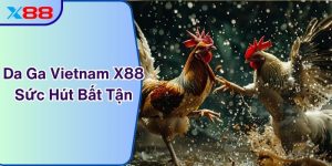 Da Ga Vietnam x88 – Sức Hút Bất Tận Của Đấu Trường Đỉnh Cao